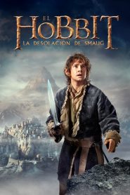 Ver El Hobbit: La desolación de Smaug