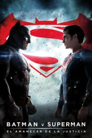 Ver Batman vs Superman: El Origen de la Justicia