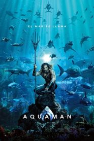 Ver Aquaman