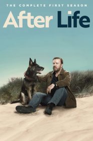 After Life: Más allá de mi mujer: Temporada 1