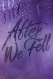 Ver After We Fell