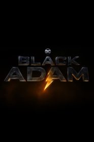 Ver Black Adam