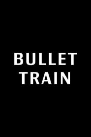 Ver Bullet Train