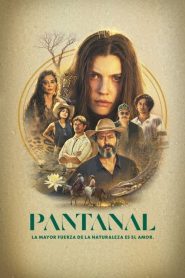Ver Pantanal