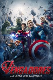 Ver Avengers: Era de Ultrón