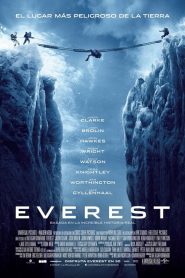 Ver Everest