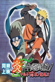 Naruto Shippuden 10: ¡Ardiente Examen Chūnin! ¡Naruto VS Konohamaru!