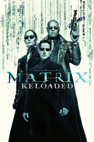 Matrix recargado