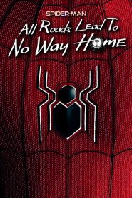 Ver Spider-Man: Todos los caminos conducen a No Way Home
