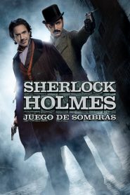 Ver Sherlock Holmes: Juego de sombras