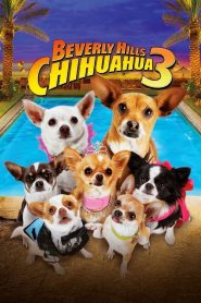 Ver Una Chihuahua de Beverly Hills 3: ¡Viva la Fiesta!