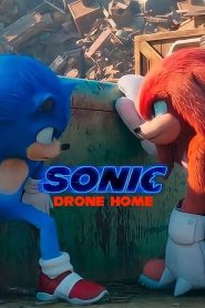 Ver Sonic Drone Home