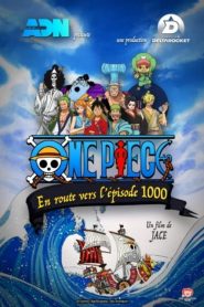 Ver One Piece – En route vers l’épisode 1000