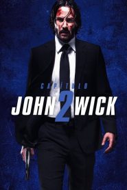 Ver John Wick 2: Un Nuevo Día Para Matar