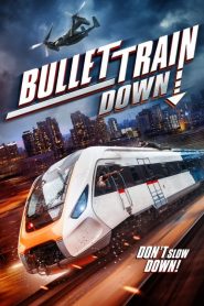 Ver Bullet Train Down